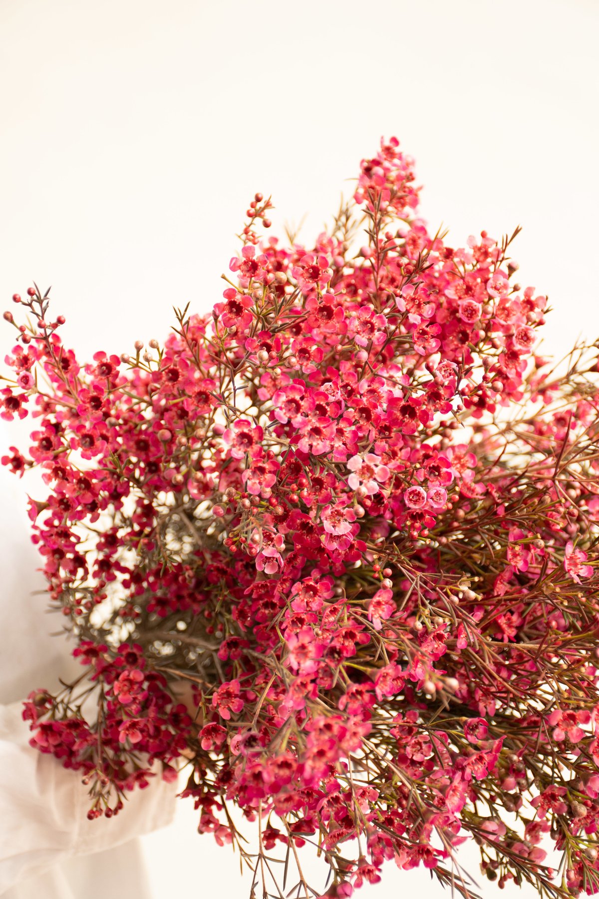 布花作品♡アンティークワックスフラワー 布花作品♡アンティークワックスフラワー - メルカリ