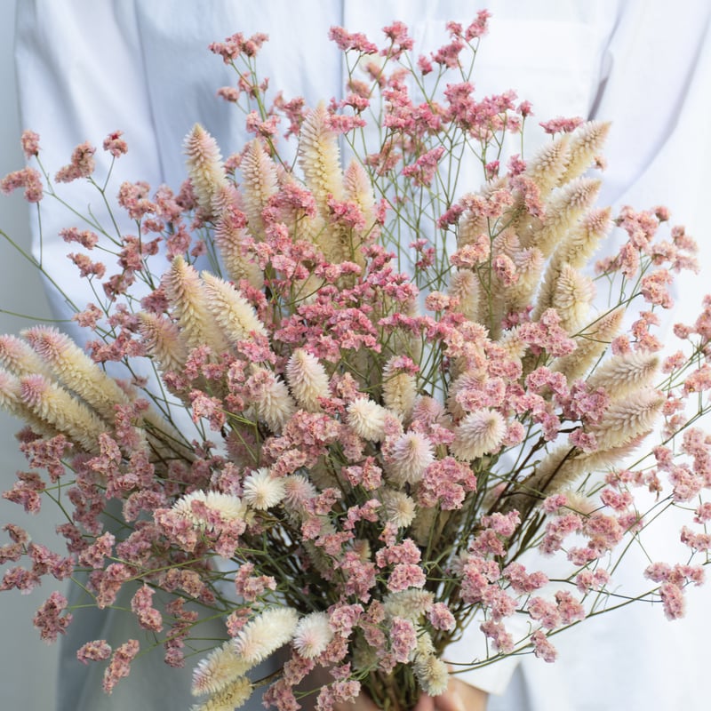 シャロンの花 生花】セロシア シャロン(淡ピンクー白系)60cm程度【FJ】 - 花材