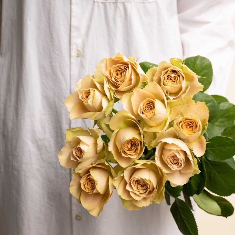 黄色のバラの木製フレーム付き バラ「堀木園芸 ワンダーウォール」 | tokyo_shokubutsu_zufu