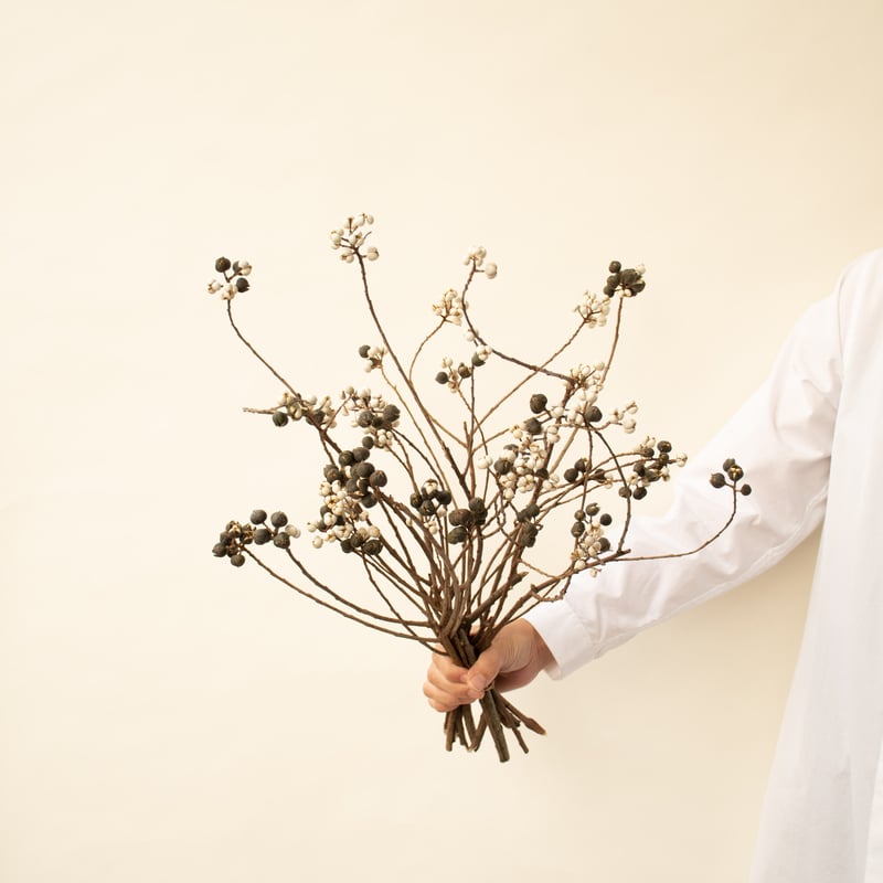 南京ハゼ 南京ハゼ | tokyo_shokubutsu_zufu