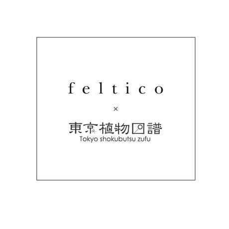 feltico×東京植物図譜「フランネルフラワーのブローチとスモークツリー」