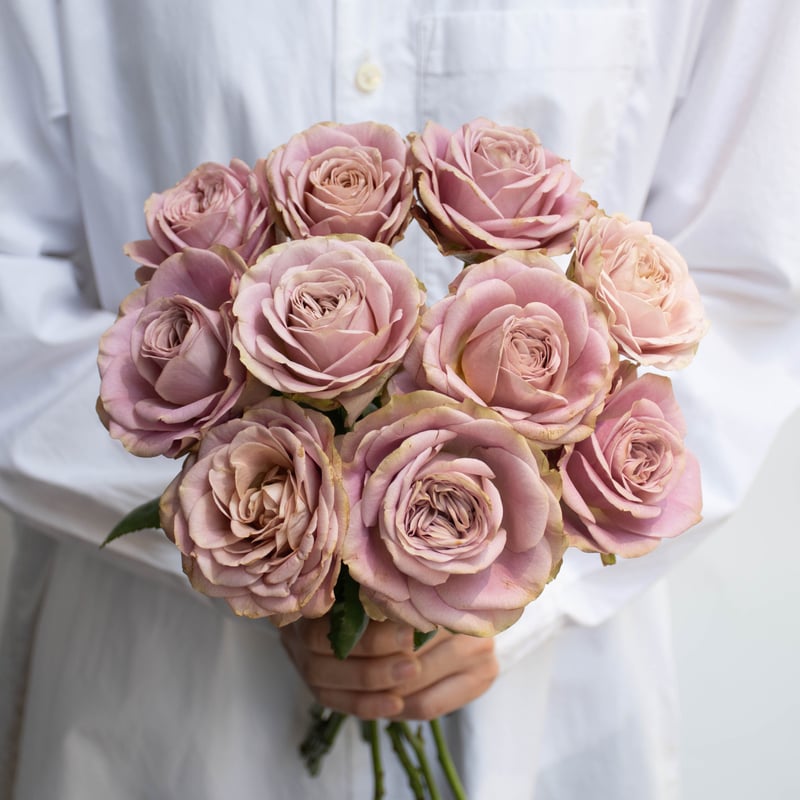 堀木園芸「オールウェイズオンユアサイド」 | tokyo_shokubutsu_zufu