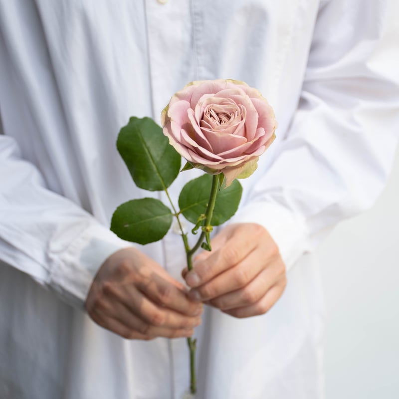 堀木園芸「オールウェイズオンユアサイド」 | tokyo_shokubutsu_zufu