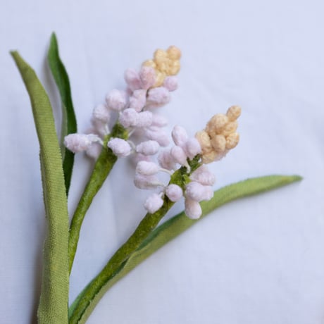 feltico×東京植物図譜「ムスカリのブローチ＋球根ミックス」