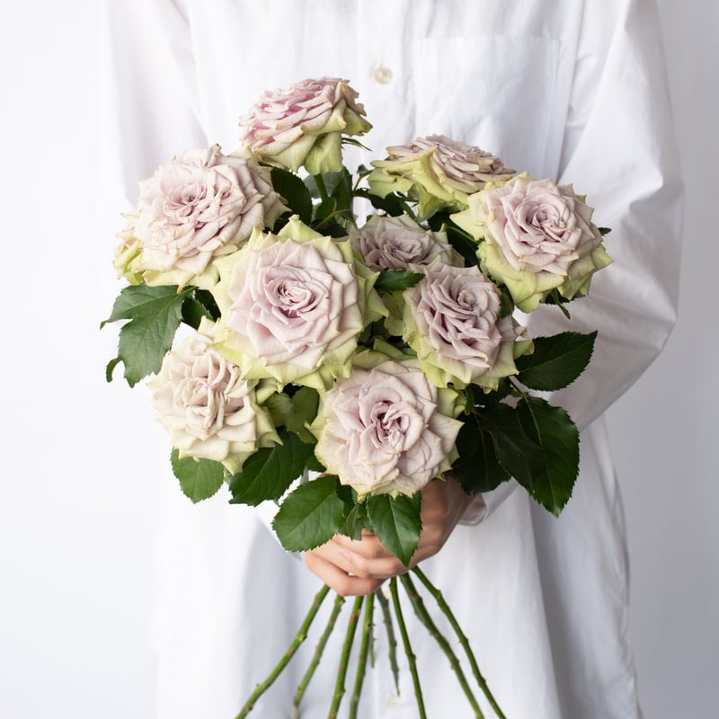 SPバラ「ラビンダグリーンスプレー」 | tokyo_shokubutsu_zufu