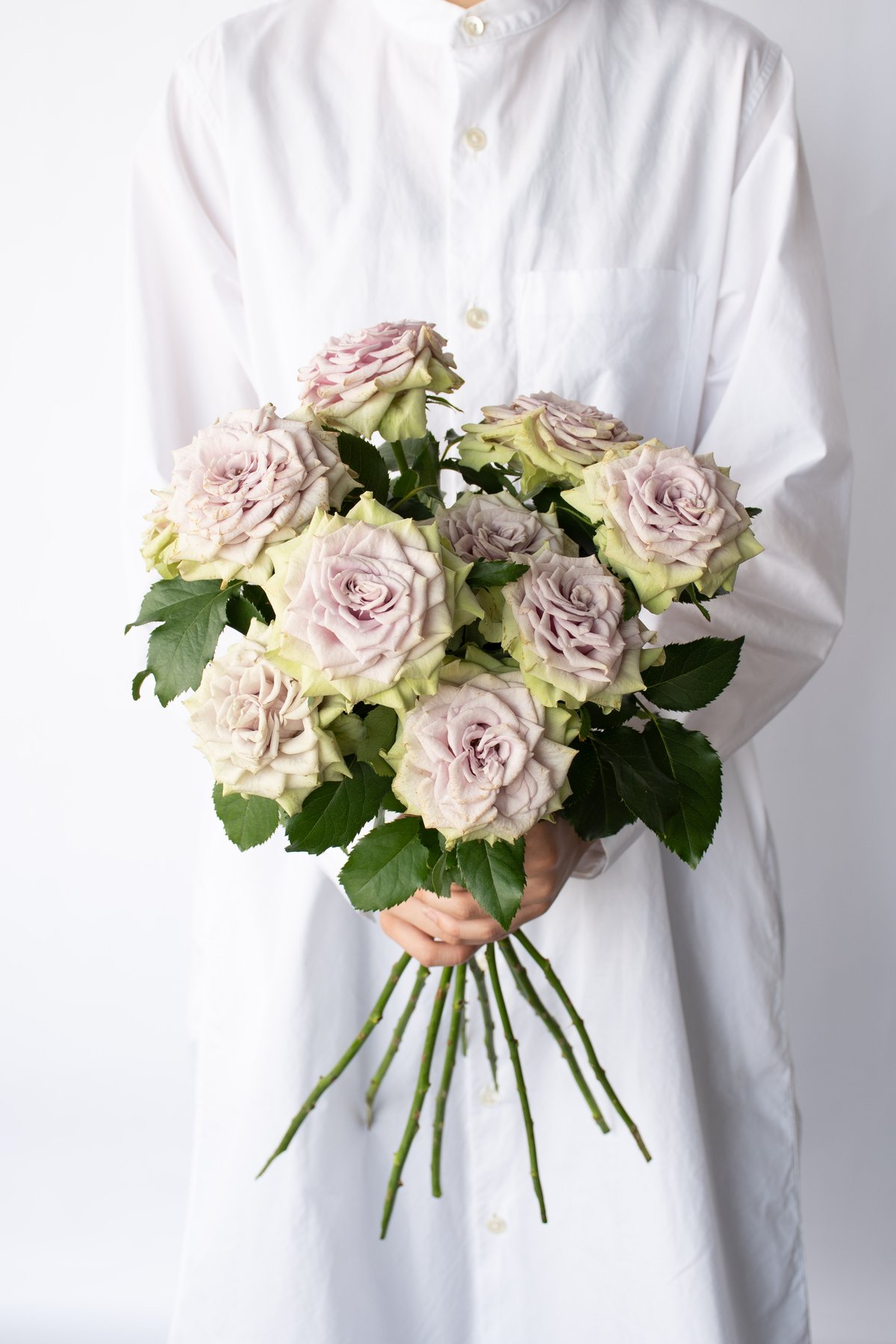 SPバラ「ラビンダグリーンスプレー」 | tokyo_shokubutsu_zufu