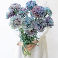 カーネーション「デニムブルー」
