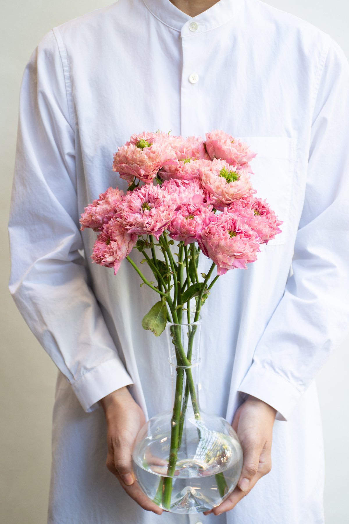 バラ「オール4キュート＆ホワイト」 | tokyo_shokubutsu_zufu