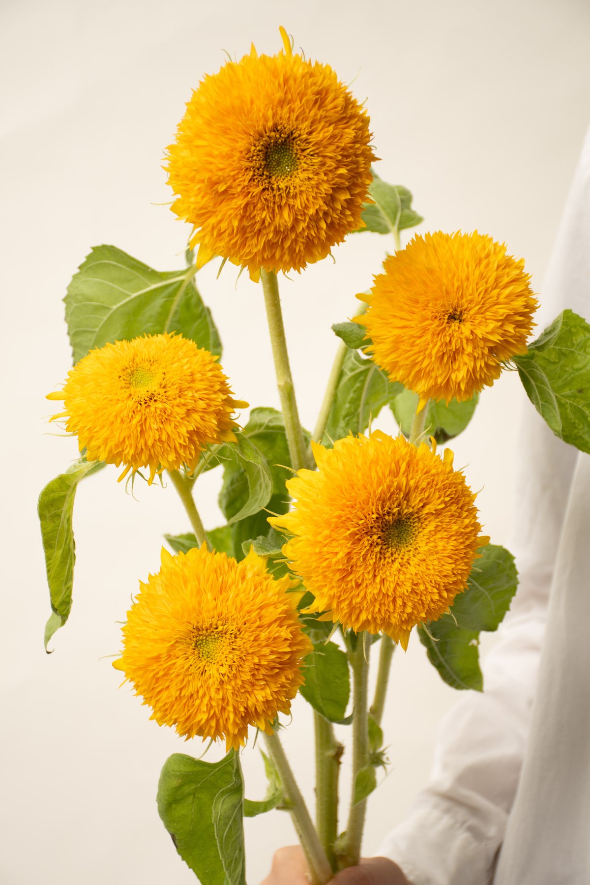 ⭐️ひまわりです ソーラーライト屋外 光るひまわり ガーデンライト LED 3花1本 向日葵