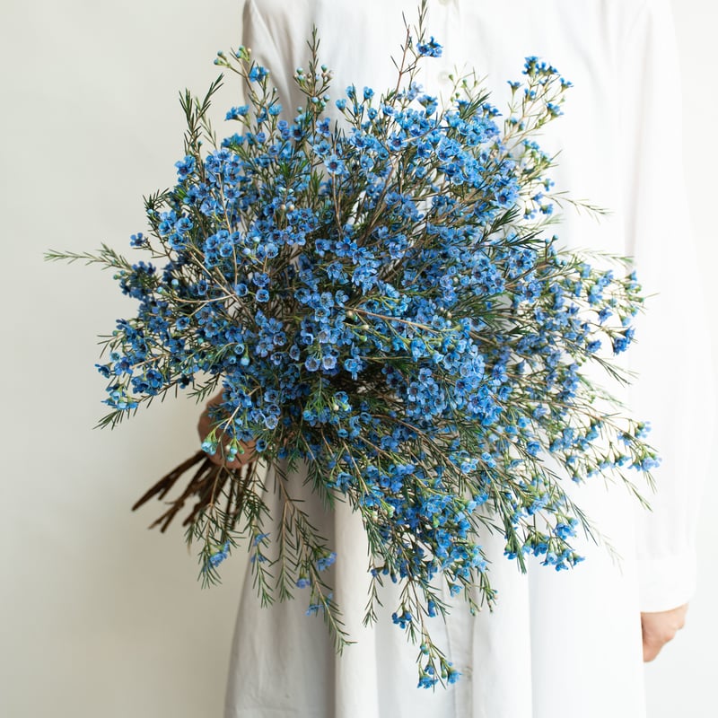 布花作品♡アンティークワックスフラワー 布花作品♡アンティークワックスフラワー - メルカリ