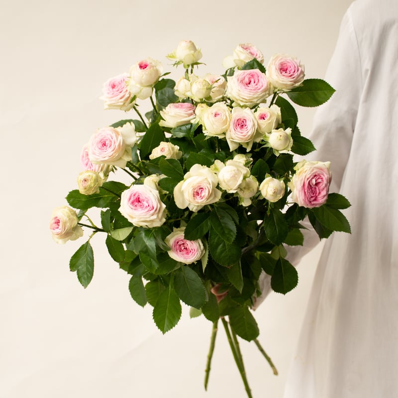 ソウルメイト　バラ 手描き】「上絵バラ」 デミタスカップ＆ソーサー