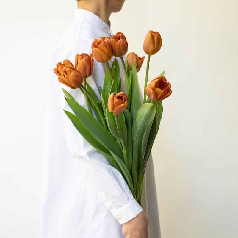 オリジナル手染め使用♪ジャパンヴィンテージのナツメとチューリップのボールペン❤ オリジナル手染め使用♪ジャパンヴィンテージのナツメとチューリップの