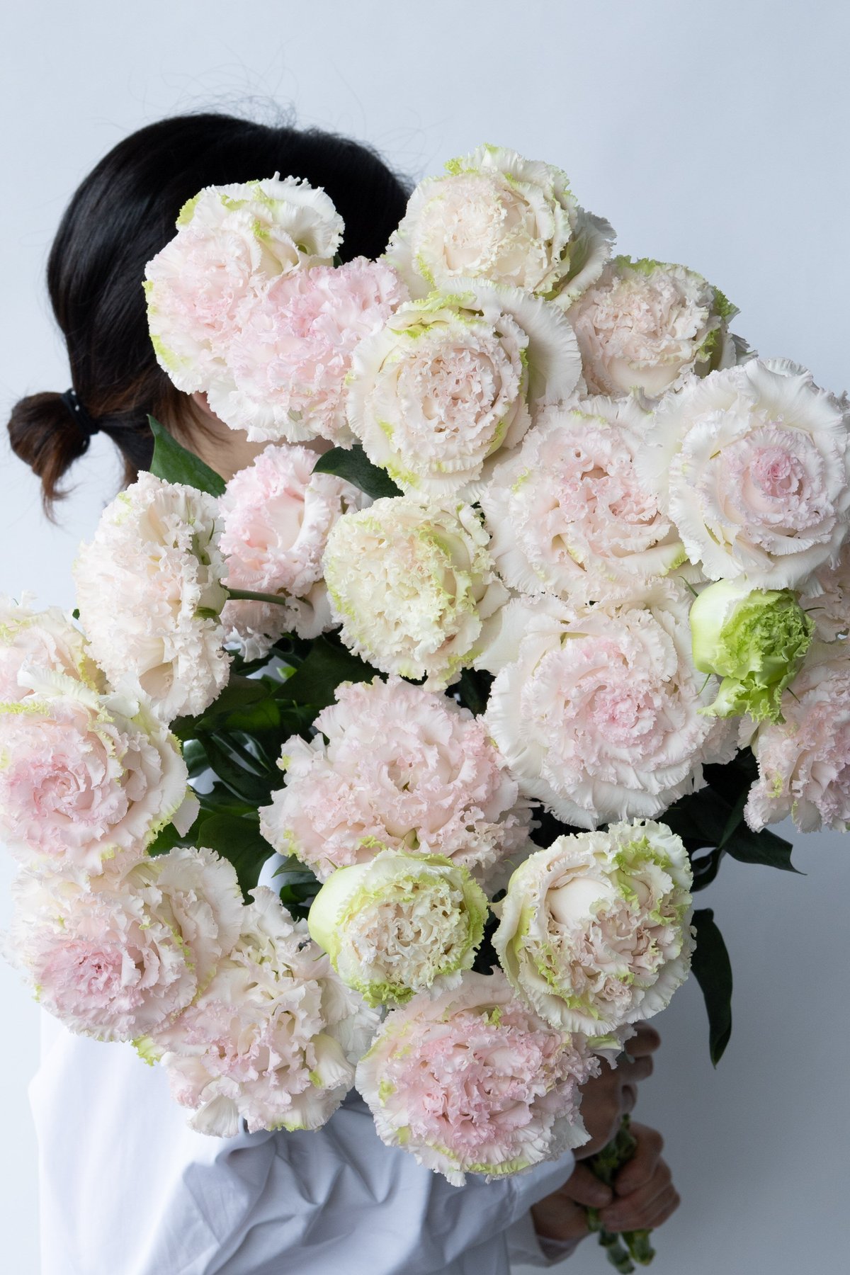 トルコキキョウ 生花】トルコキキョウ (八重グリーン)品種おまかせ【OR-13】今週