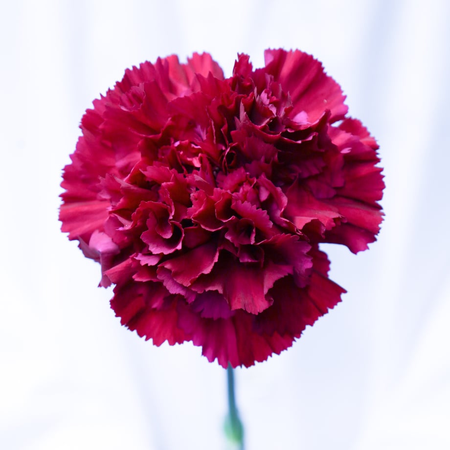 639046f8c13afb06d77075c7