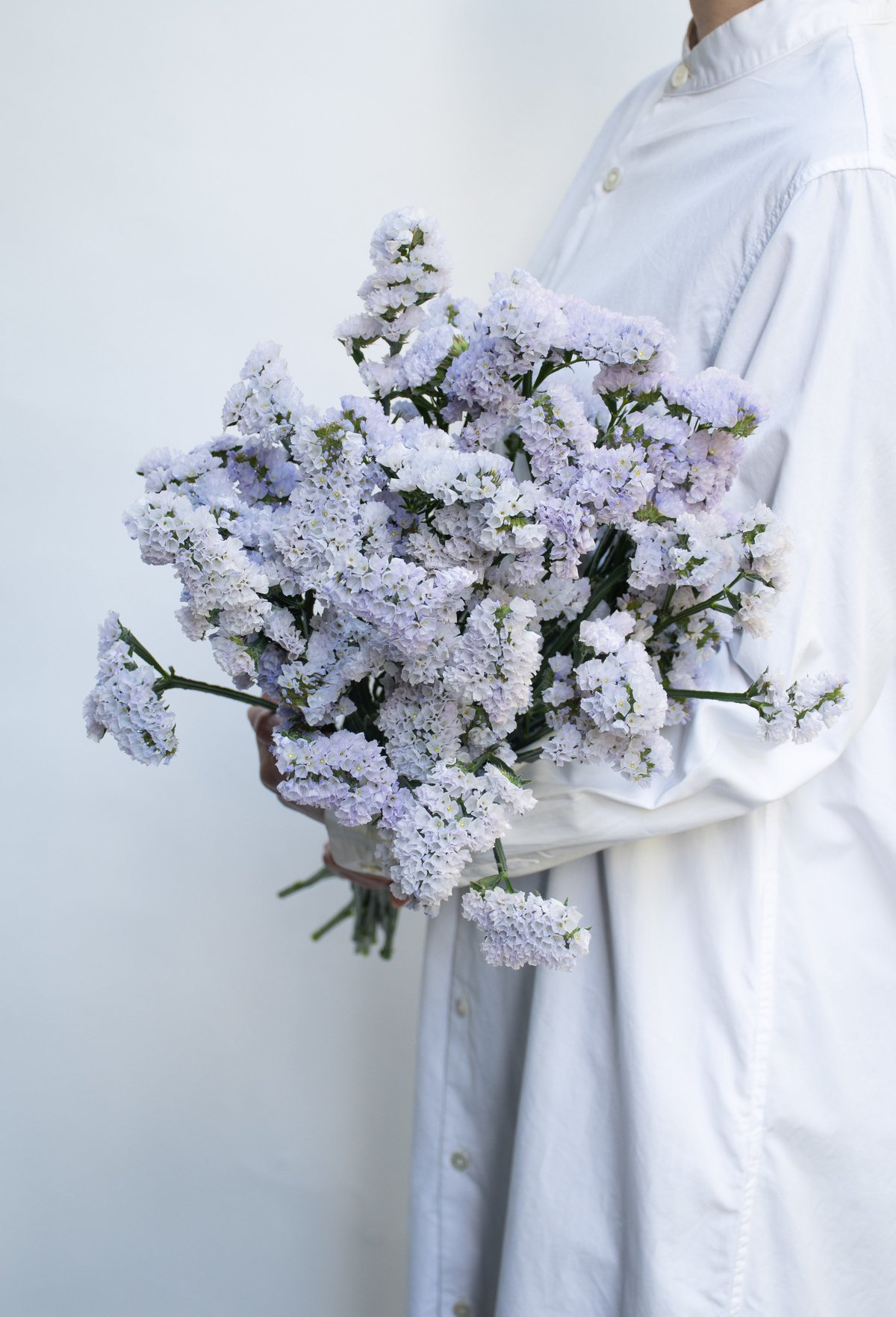 スターチスのホワイトリース スターチスホワイト：フルリース | andbloom