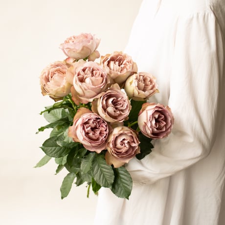 CATEGORY バラ | tokyo_shokubutsu_zufu