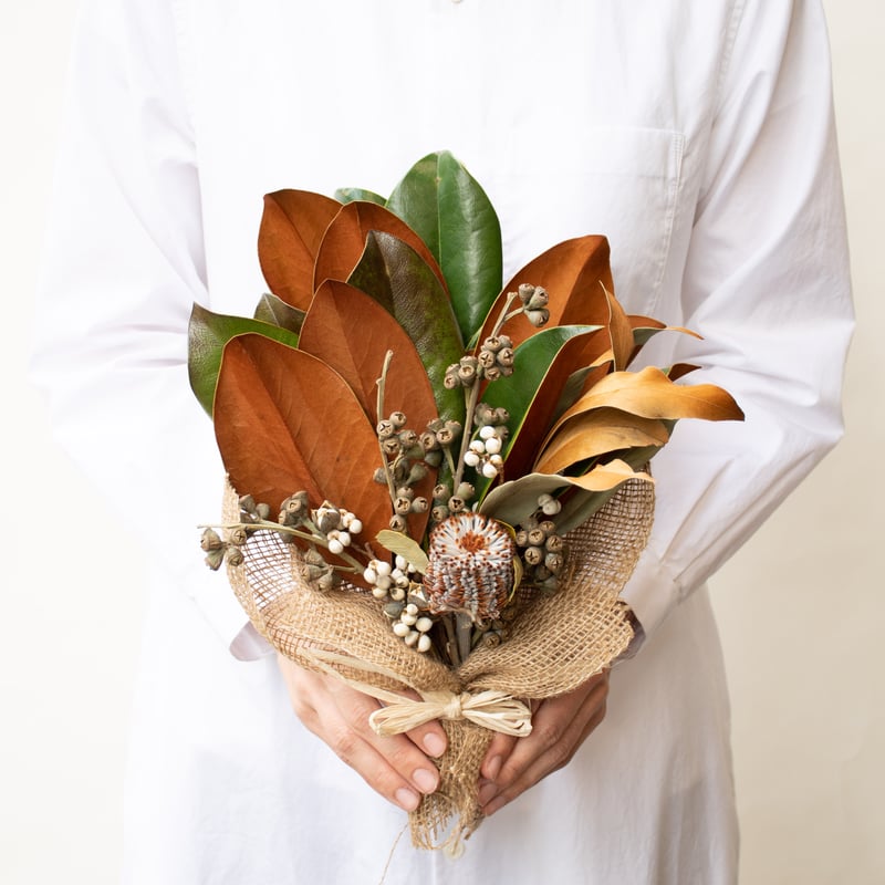 南京ハゼ | tokyo_shokubutsu_zufu