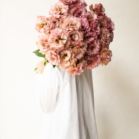 CATEGORY トルコキキョウ | tokyo_shokubutsu_zufu