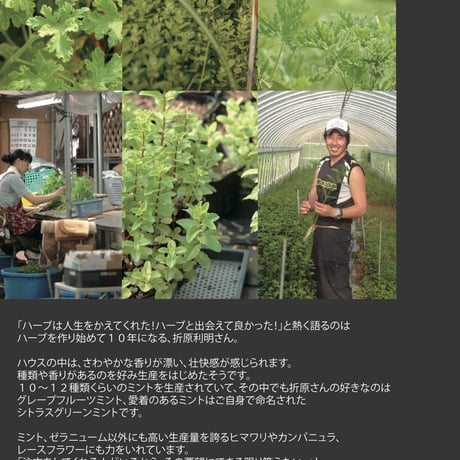 冊子版 東京植物図譜 5冊セット(2012.4~2017.3)