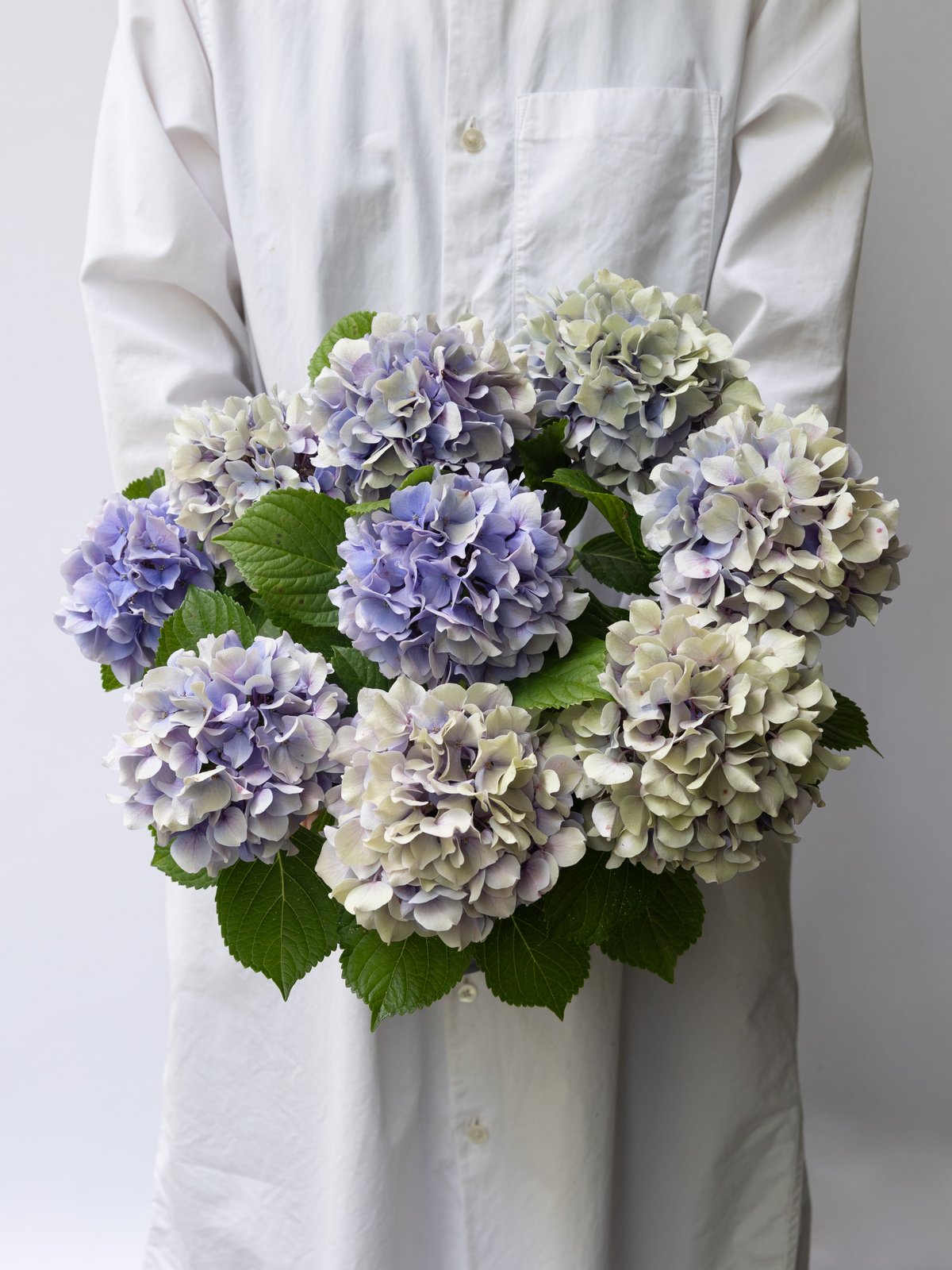 感謝SALEアンティーク紫陽花のブルーオレンジリース　矢車菊　ブルーファンタジア 867003ff771164e011deed2d8bfb74