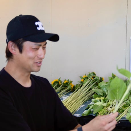 ヒマワリ「花優美　サンリッチマロン」