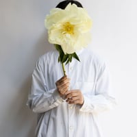 シャクヤク「プレアリームーン」