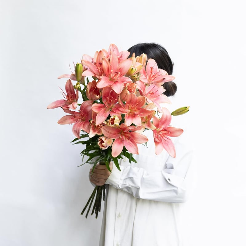 スカシユリ「ジャストキディング」 | tokyo_shokubutsu_zufu