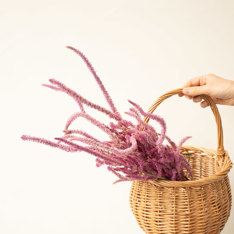 オマケつき！TAKANOYURI Flower Pact （本体＋リィフィル） プリザーブドフラワーの花びらを散りばめた「LOV-IN BOUQUET