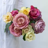 堀木園芸「バラミックス」 10本