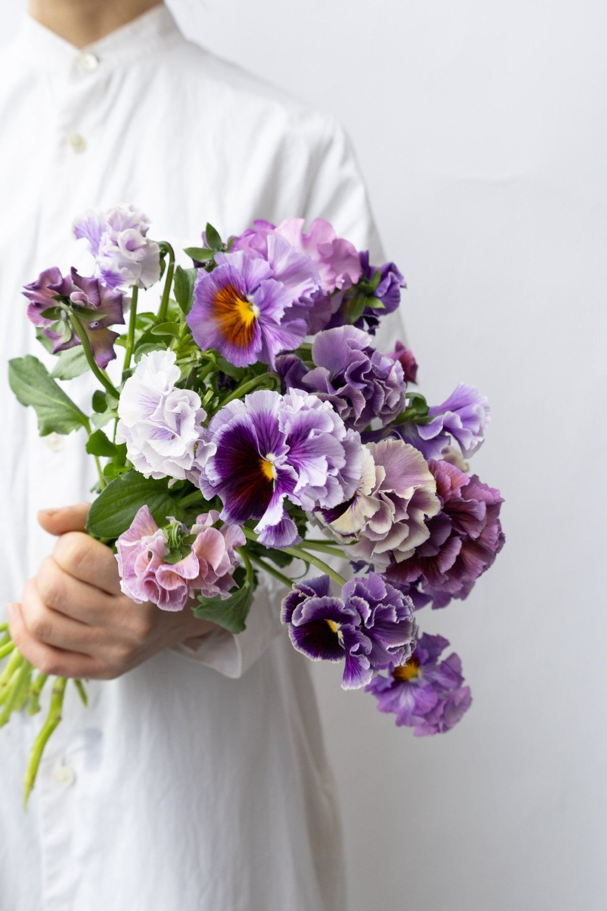 パンジーさま fit=scale-down,w=1200