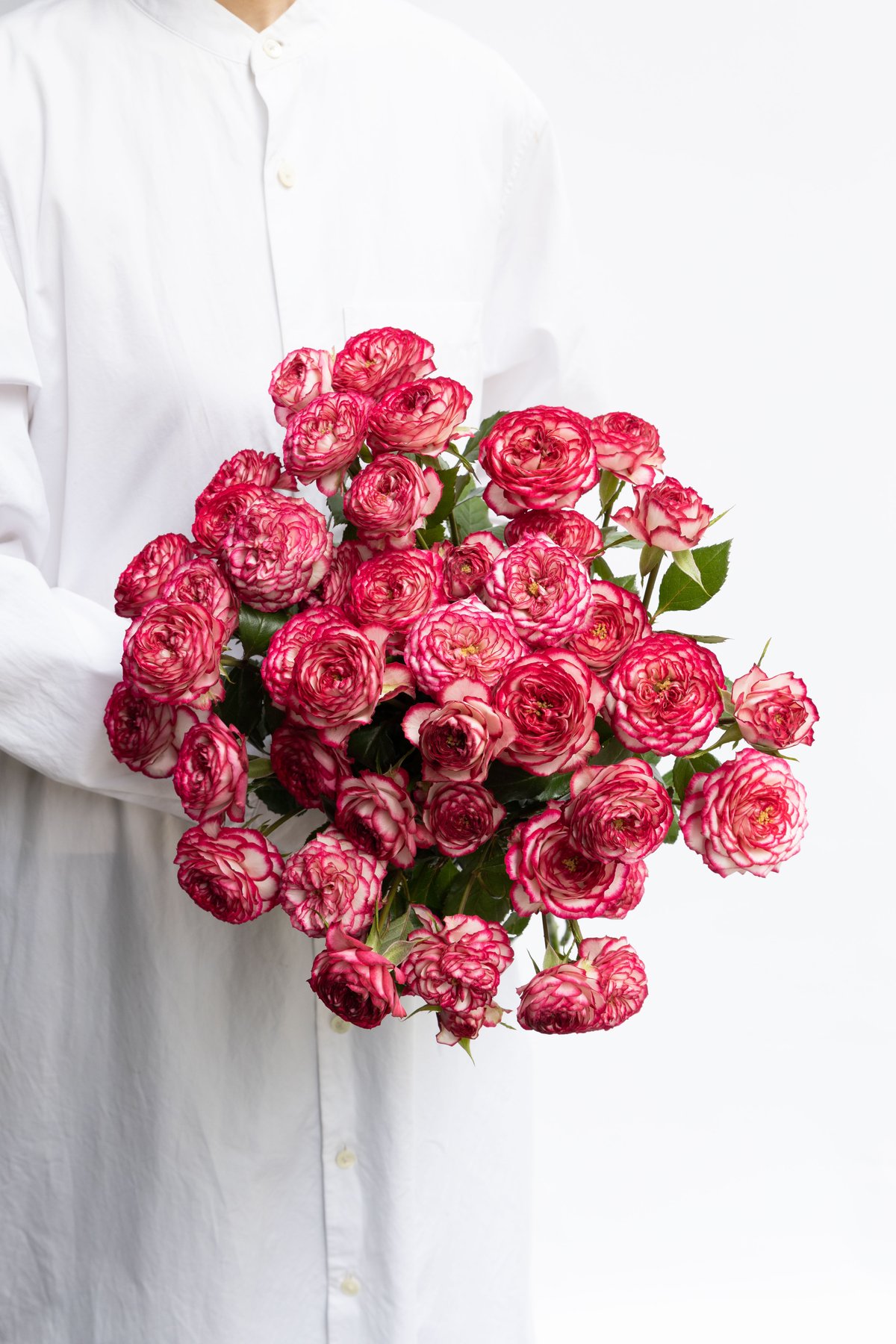 バラ売り可能です、 fit=scale-down,w=1200