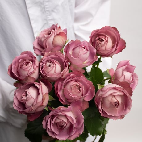 ソウルメイト　バラ 龍穴♥ソウルメイトを引き寄せバラ色の人生へと導き神秘的な月の