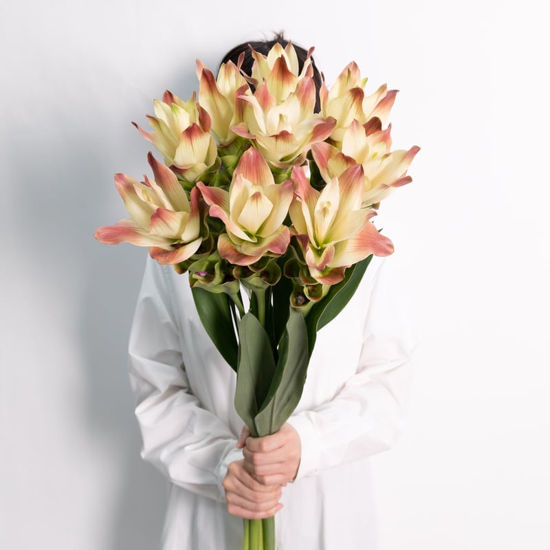 きのこ都内23区送料無料✨クムシルクMG✨絨毯 クム シルク​ 196 x 291