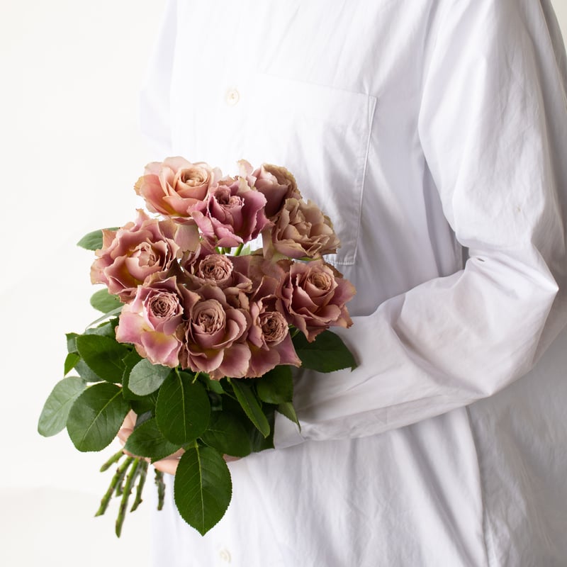 バラ「堀木園芸 テーブルフォートゥー」 | tokyo_shokubutsu_zufu