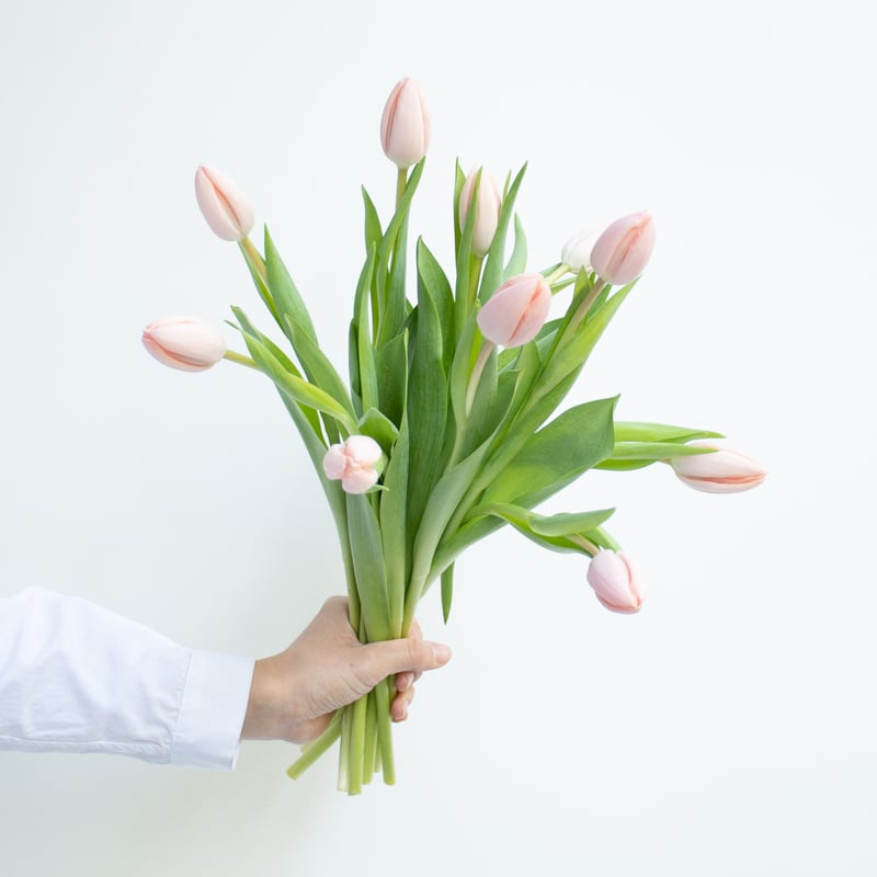 フィンランド 木製チューリップ切花タイプ20本 フィンランド 木製