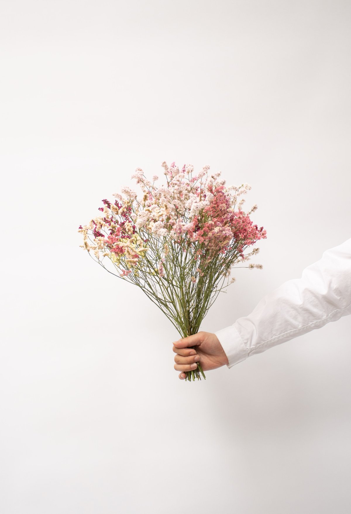 ドライフラワー「リモニュームミックス」小 | tokyo_shokubutsu_zufu