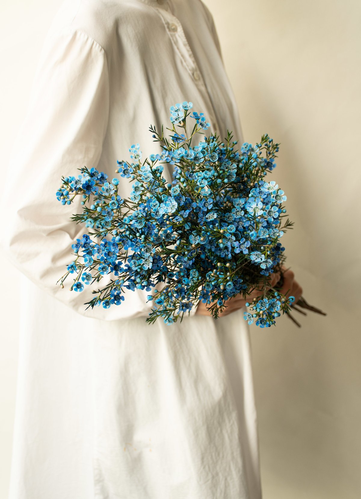 布花作品♡アンティークワックスフラワー 布花作品♡アンティークワックスフラワー