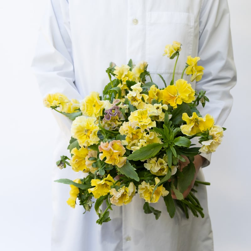 ♡ルクルーゼ　ソースパン　ソレイユ　フラワーつまみ　黄色　レモン　イエロー　新品 ♡ルクルーゼ ソースパン ソレイユ フラワーつまみ 黄色 レモン