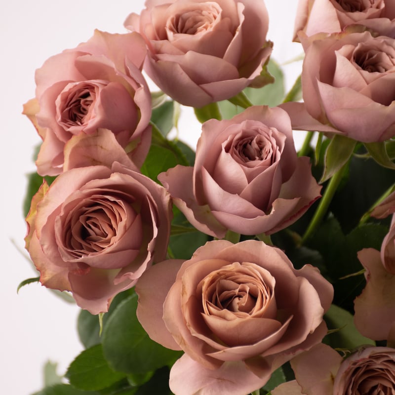 薔薇のリース。ばら園です。 薔薇のリースM | ichirin's STORE