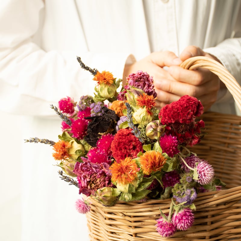 フラワーズフォーレナ「ブーケ」 | tokyo_shokubutsu_zufu