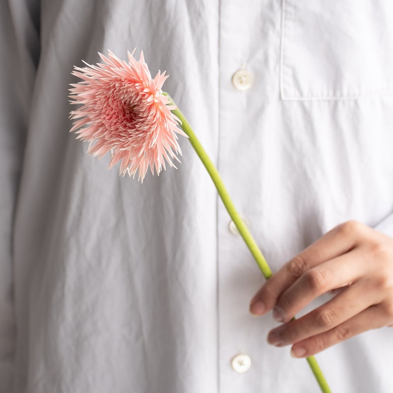 ガーベラ　2本セット ga-bera3s001.jpg?fitin=272:272