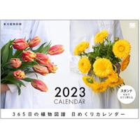 2023年日めくりカレンダー