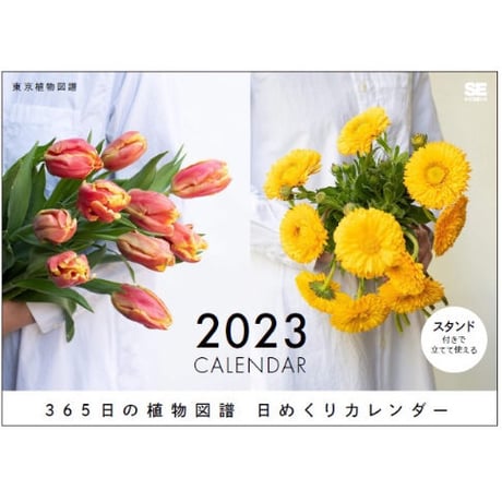 2023年日めくりカレンダー