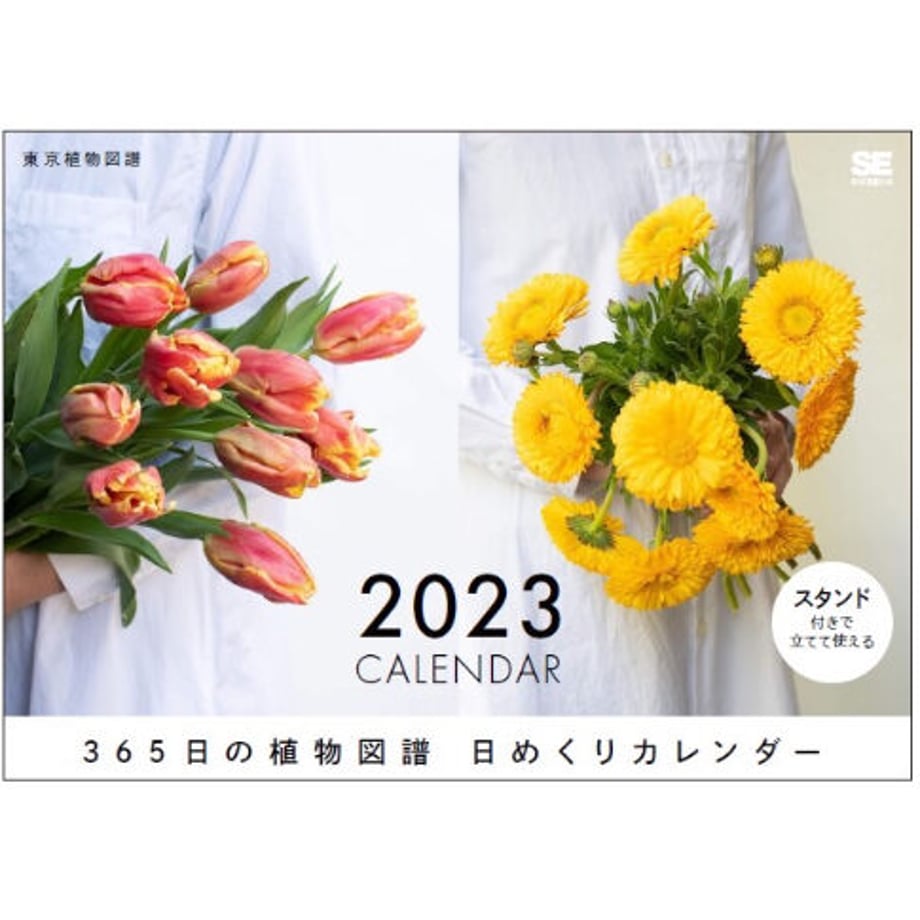 63115d2123c2aa1955e3b92e