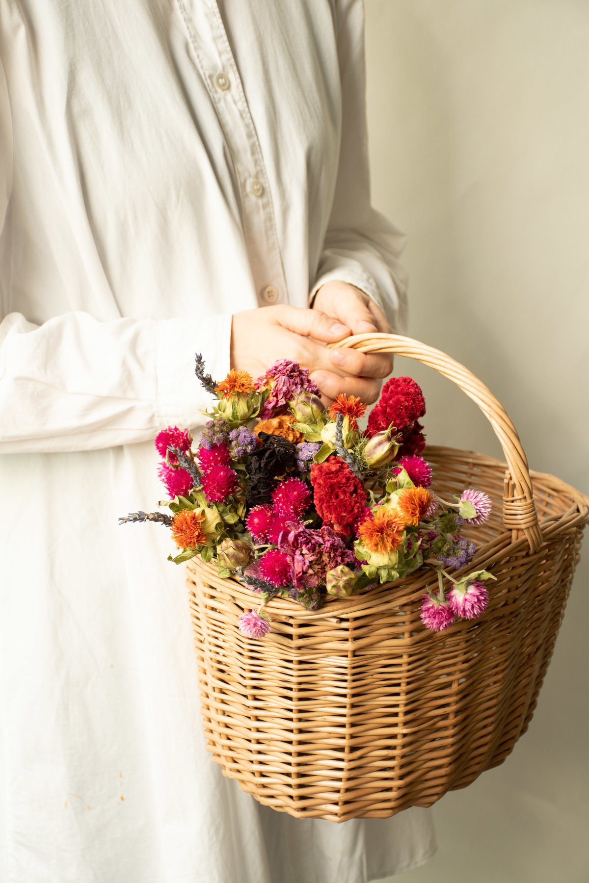 フラワーズフォーレナ「ブーケ」 | tokyo_shokubutsu_zufu