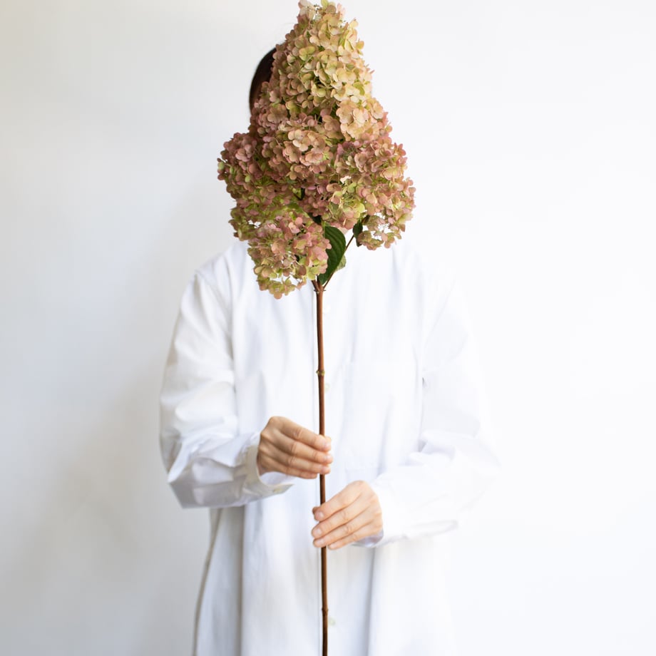 63328390d7e1d84b96655836