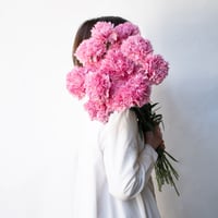カーネーション「粒いちご」