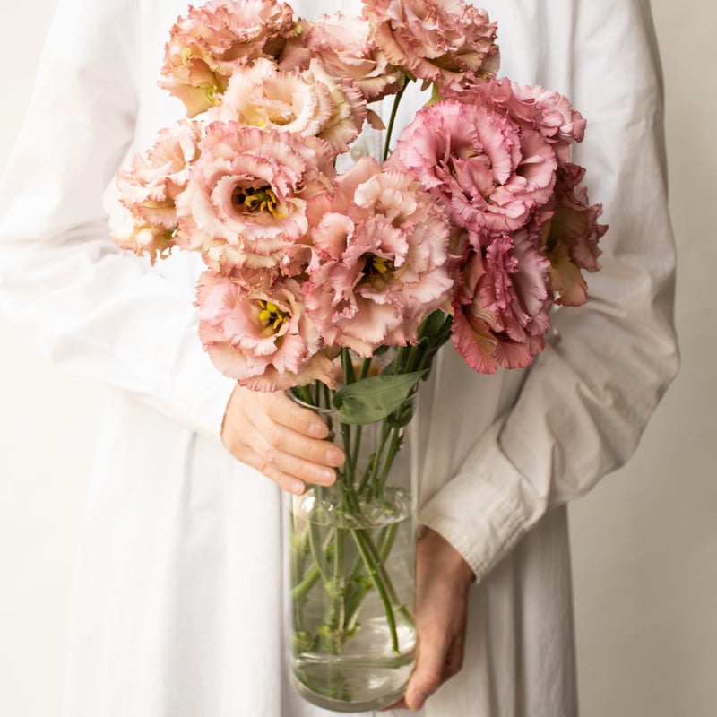 トルコキキョウ「NFアンティークピンク」 | tokyo_shokubutsu_zufu