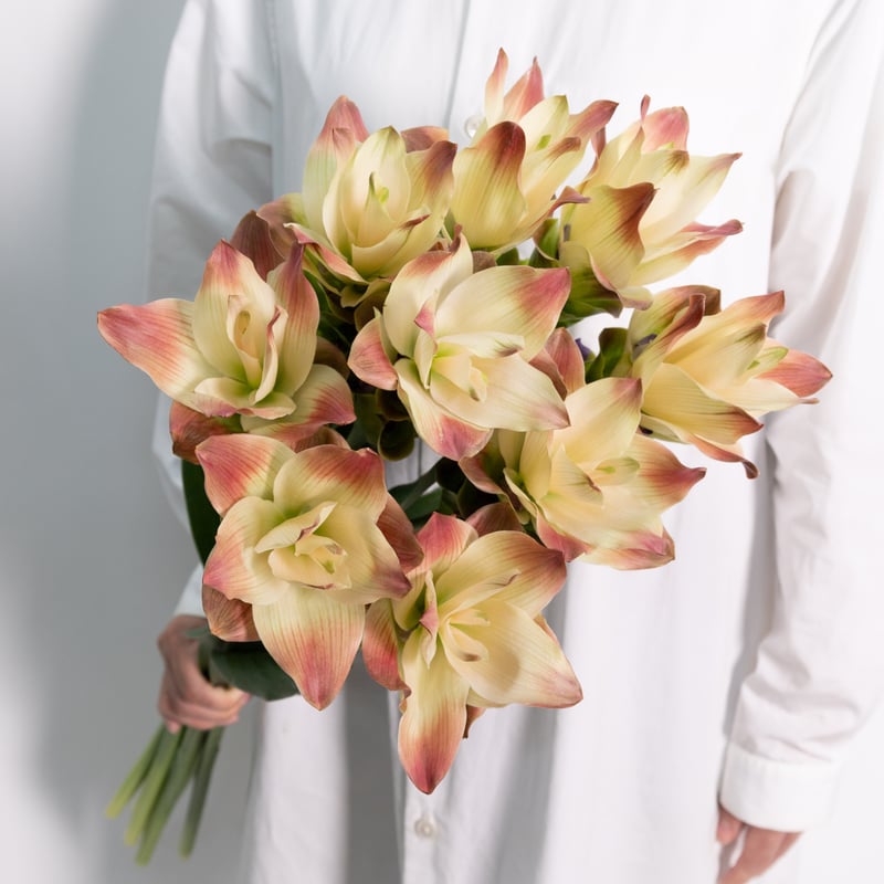 きのこ都内23区送料無料✨クムシルクMG✨絨毯 クム シルク80 x 127 cm​ – DASTAN 絨毯は日本で高級絨毯の専門