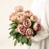 堀木園芸さん バラ「ソルファ」 5本